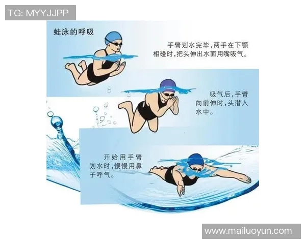 蛙泳基本动作解析与技巧提升全面指南