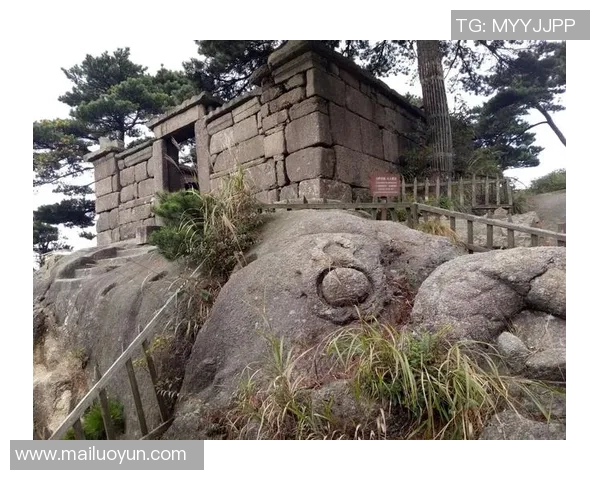 龙虎山下冬泳记鹰潭儿女战霜天
