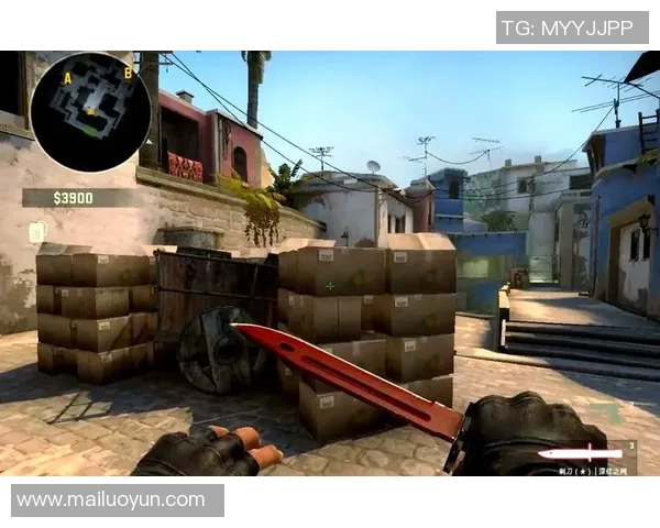 RNG战队在CSGO比赛中的防守策略分析与成败得失探讨